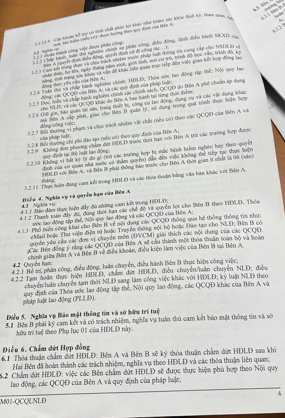 Căn hộ Vinhomes Modern Luxury - ảnh 3